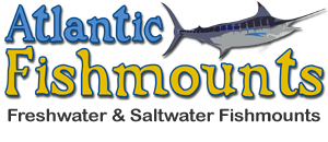 AtlanticFishmounts Logo